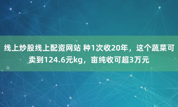 线上炒股线上配资网站 种1次收20年,这个蔬菜可卖到124.6元kg,亩纯收可超3万元