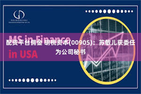配资平台佣金 胡桃资本(00905):苏敏儿获委任为公司秘书