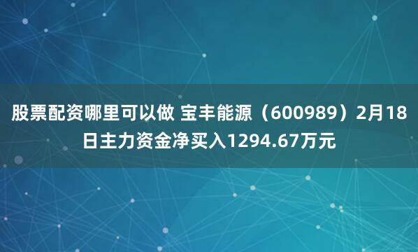 股票配资哪里可以做 宝丰能源（600989）2月18日主力资金净买入1294.67万元