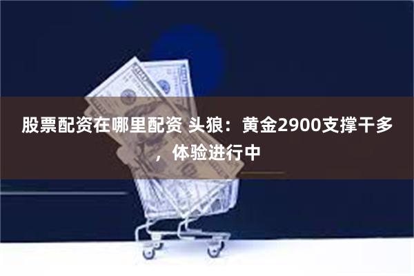 股票配资在哪里配资 头狼：黄金2900支撑干多，体验进行中