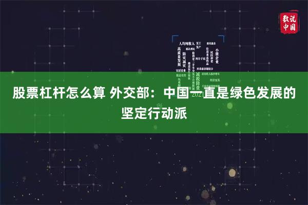 股票杠杆怎么算 外交部：中国一直是绿色发展的坚定行动派