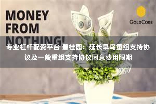 专业杠杆配资平台 碧桂园：延长早鸟重组支持协议及一般重组支持协议同意费用限期