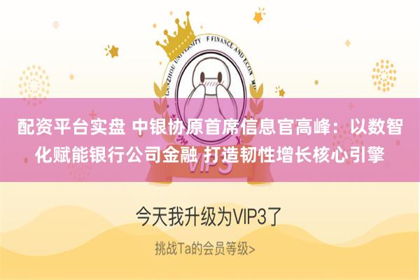 配资平台实盘 中银协原首席信息官高峰：以数智化赋能银行公司金融 打造韧性增长核心引擎