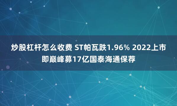 炒股杠杆怎么收费 ST帕瓦跌1.96% 2022上市即巅峰募17亿国泰海通保荐