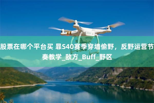 股票在哪个平台买 暃S40赛季穿墙偷野，反野运营节奏教学_敌方_Buff_野区
