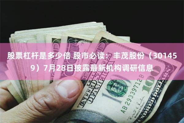 股票杠杆是多少倍 股市必读：丰茂股份（301459）7月28日披露最新机构调研信息