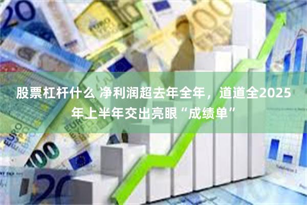 股票杠杆什么 净利润超去年全年，道道全2025年上半年交出亮眼“成绩单”